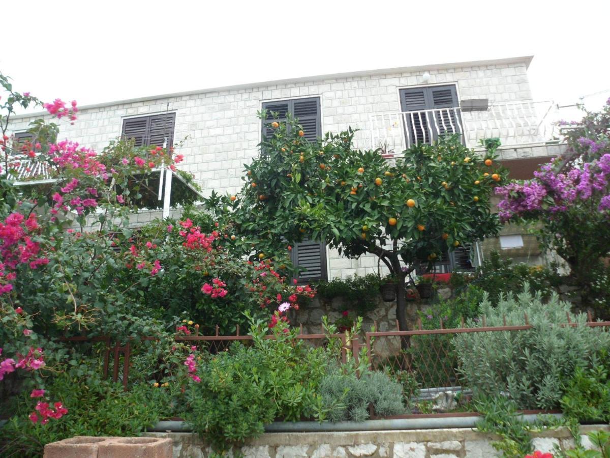Guesthouse Ivona Дубровник Номер фото